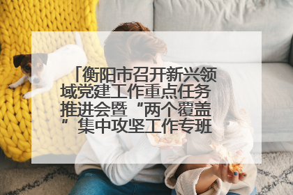 衡阳市召开新兴领域党建工作重点任务推进会暨“两个覆盖”集中攻坚工作专班 第一次会议