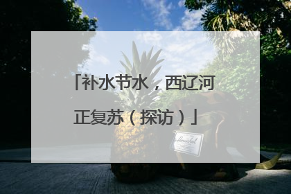 补水节水，西辽河正复苏（探访）