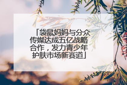 袋鼠妈妈与分众传媒达成五亿战略合作，发力青少年护肤市场新赛道