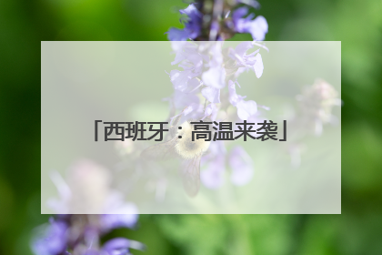 西班牙：高温来袭