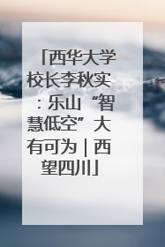 西华大学校长李秋实：乐山“智慧低空”大有可为｜西望四川
