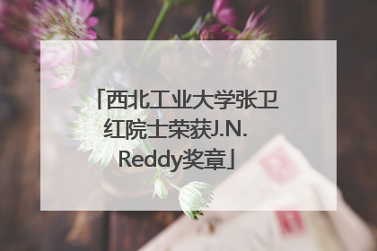 西北工业大学张卫红院士荣获J.N.Reddy奖章