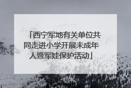 西宁军地有关单位共同走进小学开展未成年人暨军娃保护活动