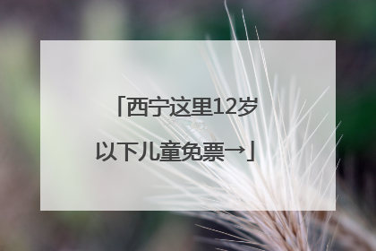 西宁这里12岁以下儿童免票→