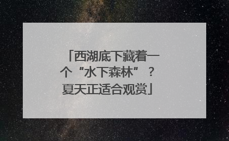 西湖底下藏着一个“水下森林”？夏天正适合观赏