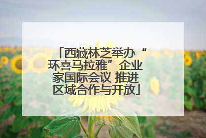 西藏林芝举办“环喜马拉雅”企业家国际会议 推进区域合作与开放