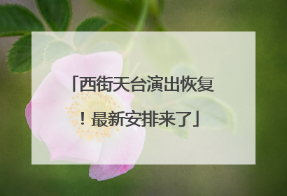西街天台演出恢复！最新安排来了