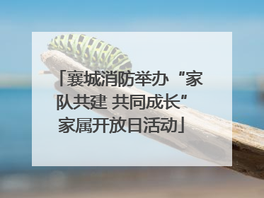 襄城消防举办“家队共建 共同成长”家属开放日活动