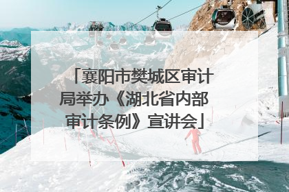 襄阳市樊城区审计局举办《湖北省内部审计条例》宣讲会