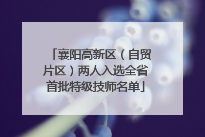 襄阳高新区（自贸片区）两人入选全省首批特级技师名单