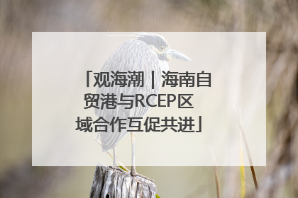 观海潮｜海南自贸港与RCEP区域合作互促共进
