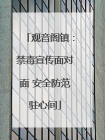 观音阁镇：禁毒宣传面对面 安全防范驻心间