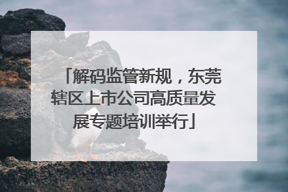 解码监管新规，东莞辖区上市公司高质量发展专题培训举行