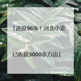进度96%！河北小麦已收获3000余万亩