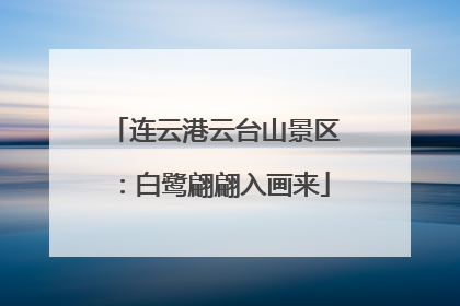 连云港云台山景区：白鹭翩翩入画来