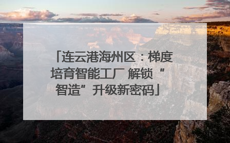 连云港海州区：梯度培育智能工厂 解锁“智造”升级新密码