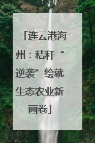 连云港海州：秸秆“逆袭”绘就生态农业新画卷