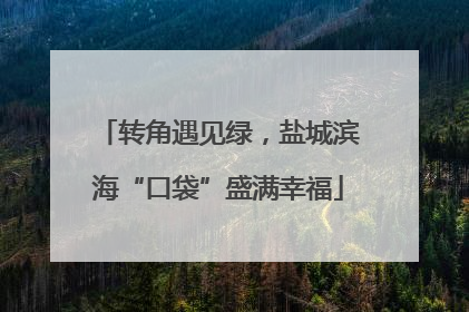 转角遇见绿，盐城滨海“口袋”盛满幸福
