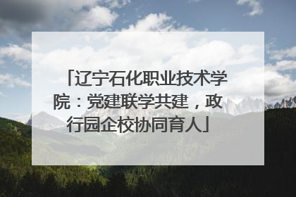 辽宁石化职业技术学院：党建联学共建，政行园企校协同育人