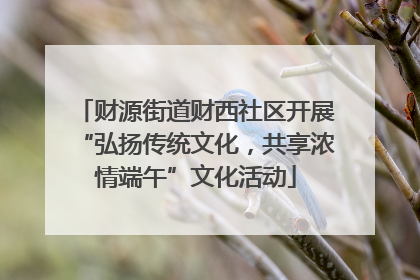 财源街道财西社区开展“弘扬传统文化，共享浓情端午”文化活动