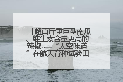 超百斤重巨型南瓜、维生素含量更高的辣椒……“太空味道”在航天育种试验田里拔节生长