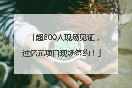 超800人现场见证，过亿元项目现场签约！