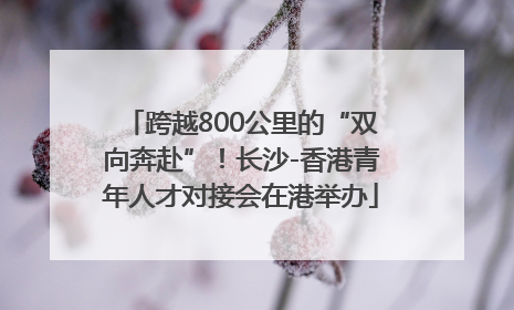 跨越800公里的“双向奔赴”！长沙-香港青年人才对接会在港举办