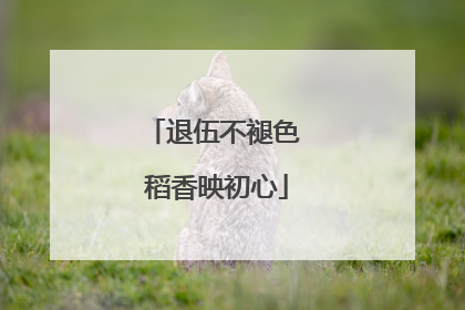 退伍不褪色 稻香映初心