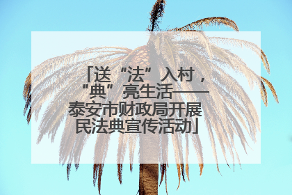 送“法”入村，“典”亮生活——泰安市财政局开展民法典宣传活动