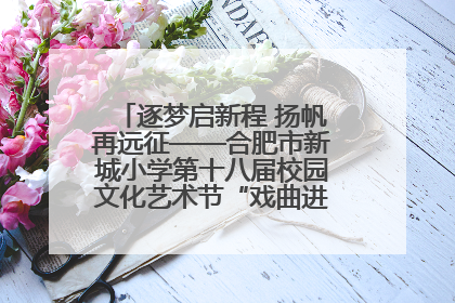 逐梦启新程 扬帆再远征——合肥市新城小学第十八届校园文化艺术节“戏曲进校园专场演出”