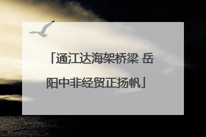 通江达海架桥梁 岳阳中非经贸正扬帆