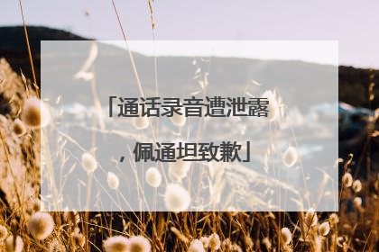 通话录音遭泄露，佩通坦致歉