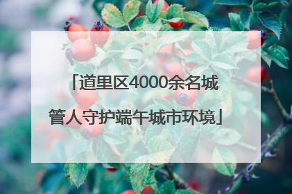 道里区4000余名城管人守护端午城市环境