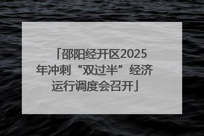邵阳经开区2025年冲刺“双过半”经济运行调度会召开