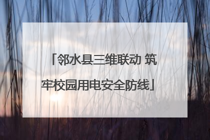 邻水县三维联动 筑牢校园用电安全防线