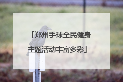 郑州手球全民健身主题活动丰富多彩