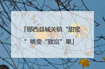 郧西县城关镇“甜蜜”桃变“致富”果