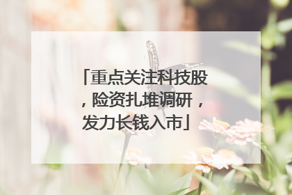 重点关注科技股，险资扎堆调研，发力长钱入市