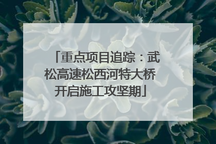 重点项目追踪：武松高速松西河特大桥开启施工攻坚期