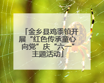 金乡县鸡黍镇开展“红色传承童心向党”庆“六一”主题活动