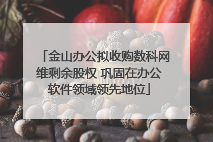 金山办公拟收购数科网维剩余股权 巩固在办公软件领域领先地位