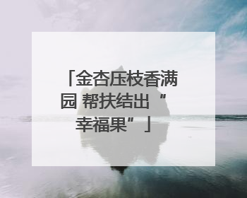 金杏压枝香满园 帮扶结出“幸福果”