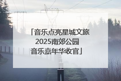 音乐点亮星城文旅 2025南郊公园音乐嘉年华收官