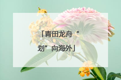 青田龙舟“划”向海外