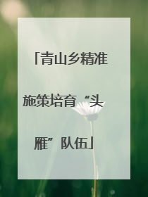 青山乡精准施策培育“头雁”队伍
