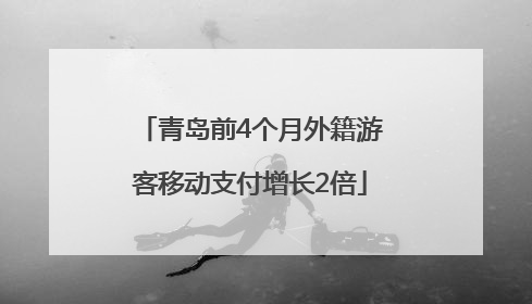 青岛前4个月外籍游客移动支付增长2倍