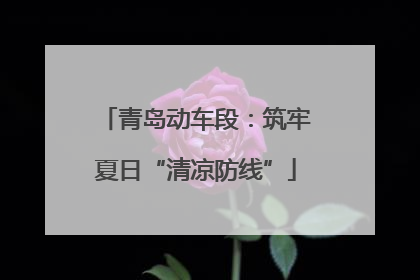 青岛动车段：筑牢夏日“清凉防线”