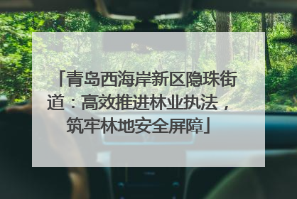 青岛西海岸新区隐珠街道：高效推进林业执法，筑牢林地安全屏障