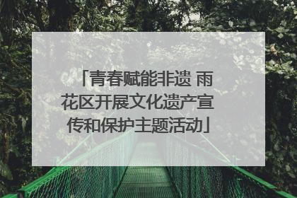 青春赋能非遗 雨花区开展文化遗产宣传和保护主题活动