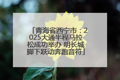 青海省西宁市：2025大通半程马拉松成功举办 明长城脚下跃动奔跑音符